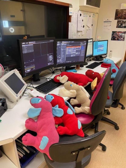 1584b3fe-4e29-4a22-ab3e-c1cc3e7aad6f