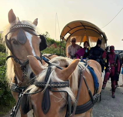 1cdd71bb-b167-4383-8bc9-9e6145202aa3