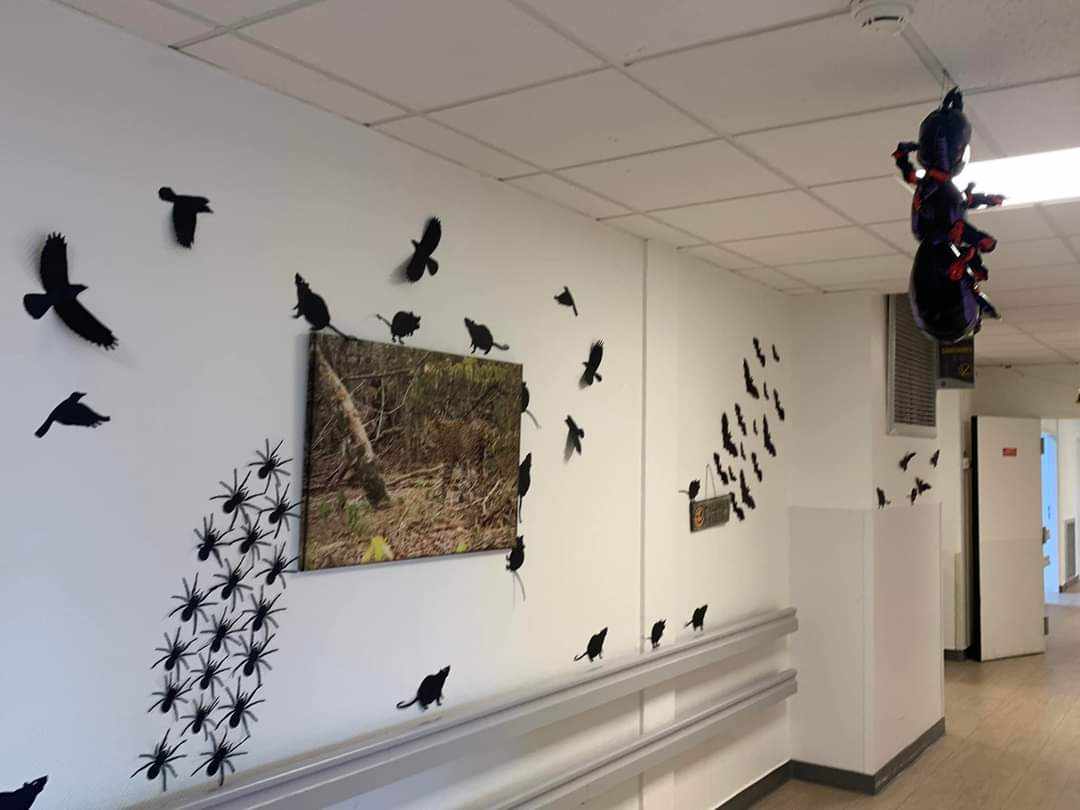 248e7130-ef1c-4f01-8366-f0e08519be9e