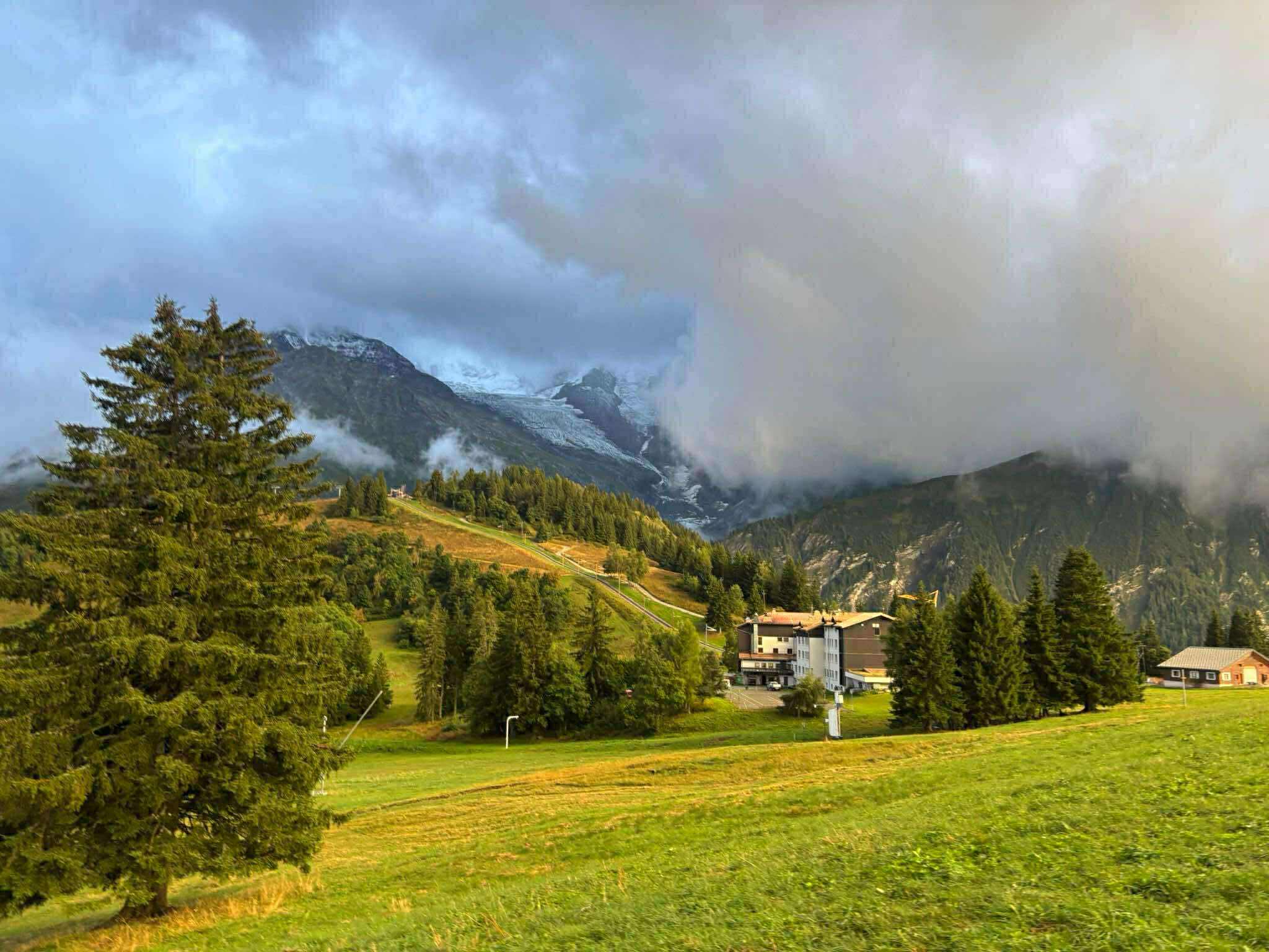 37229cc5-f0d7-4e63-8a6d-8ca242ece1a1