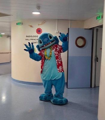 Hopital Sud