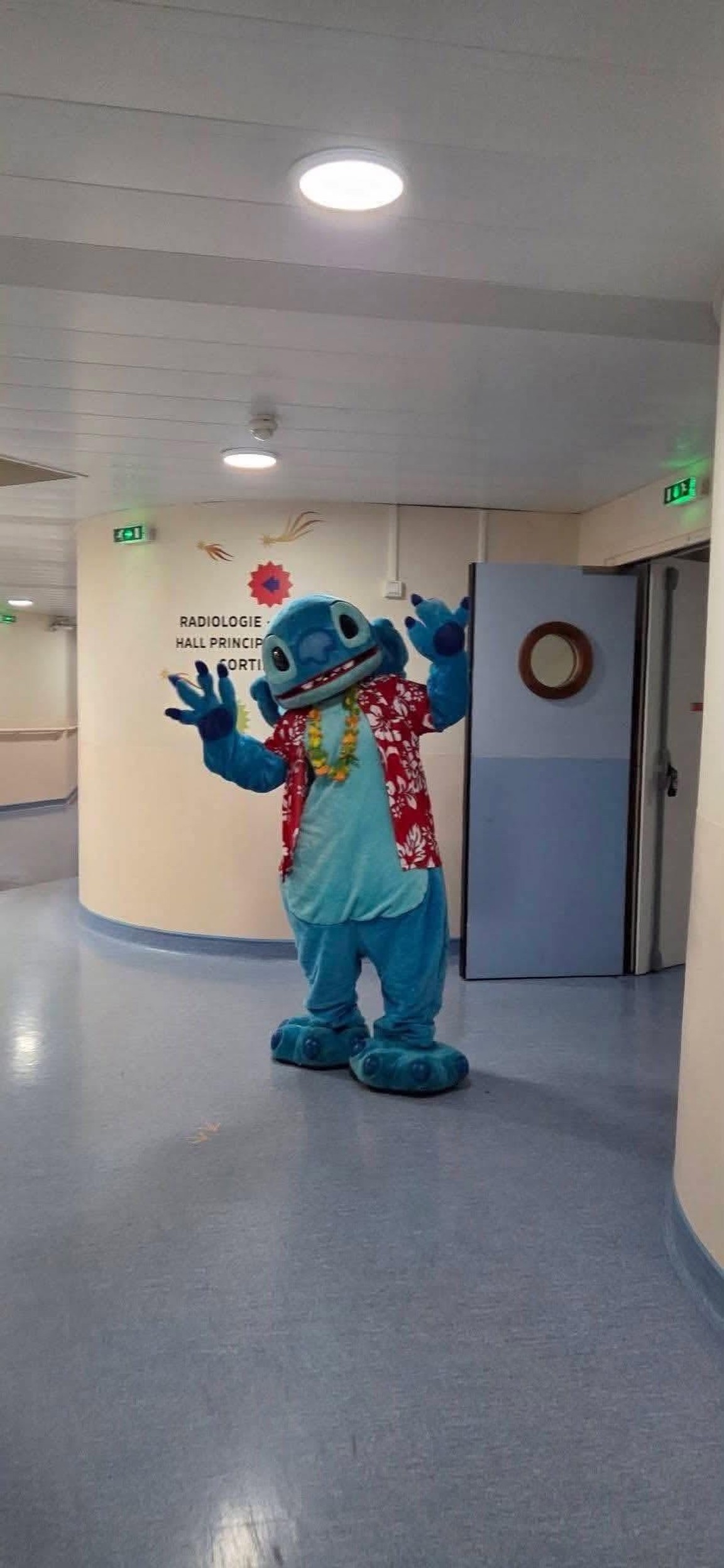 Hopital Sud