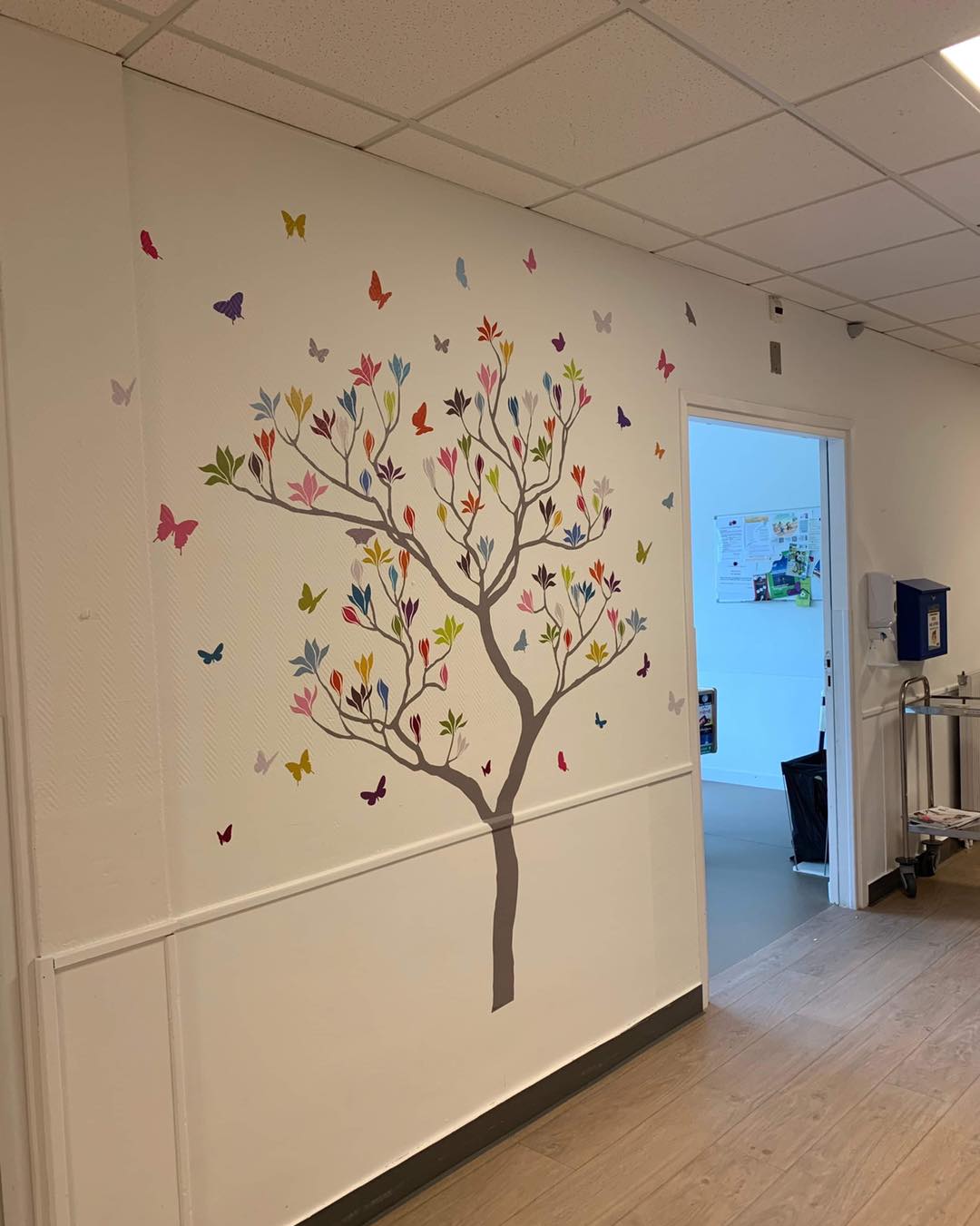 50807690-5dfe-46d1-9ccc-cdf006db6226