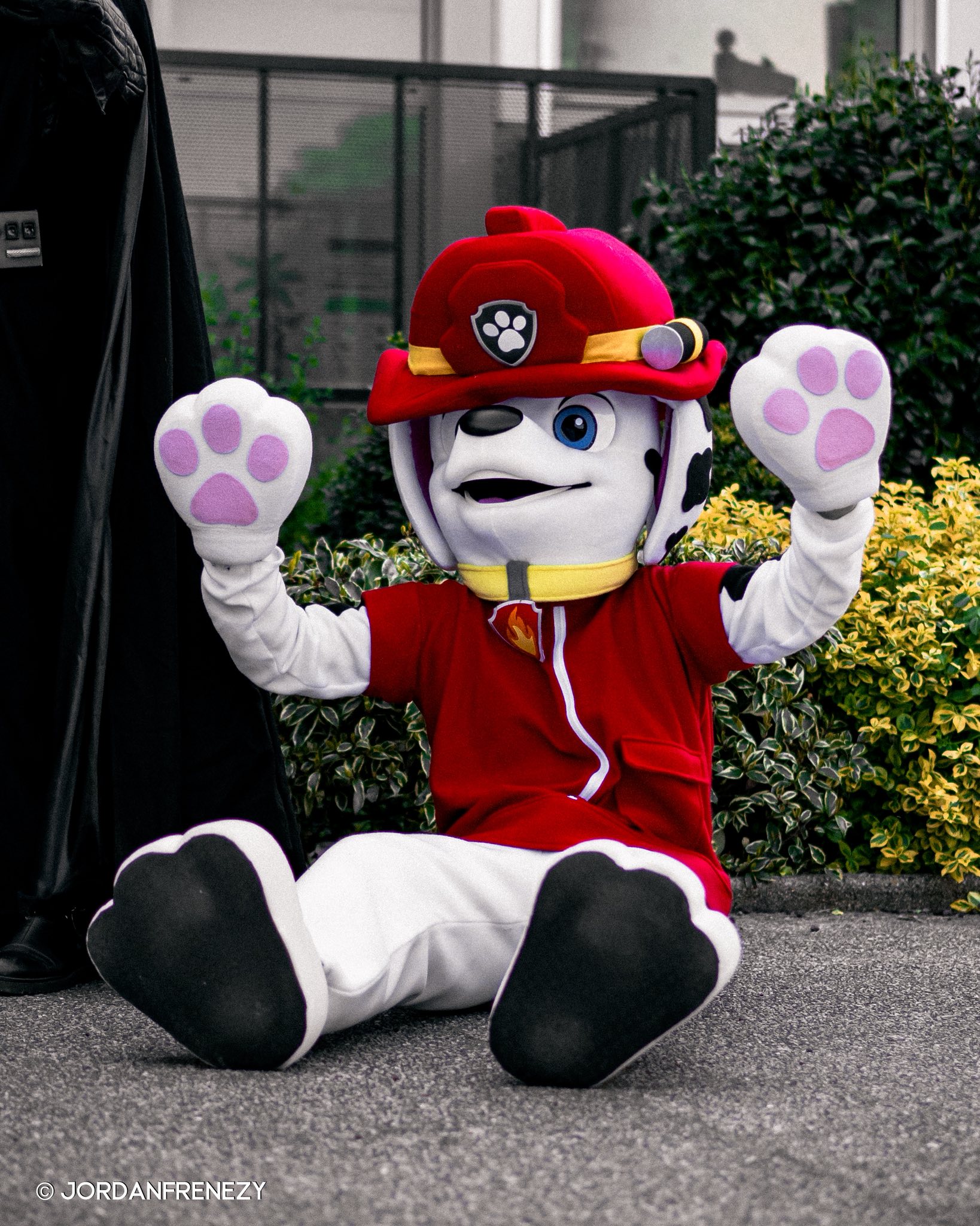 508d8725-15d3-4eb3-8f5b-25887af19eb6