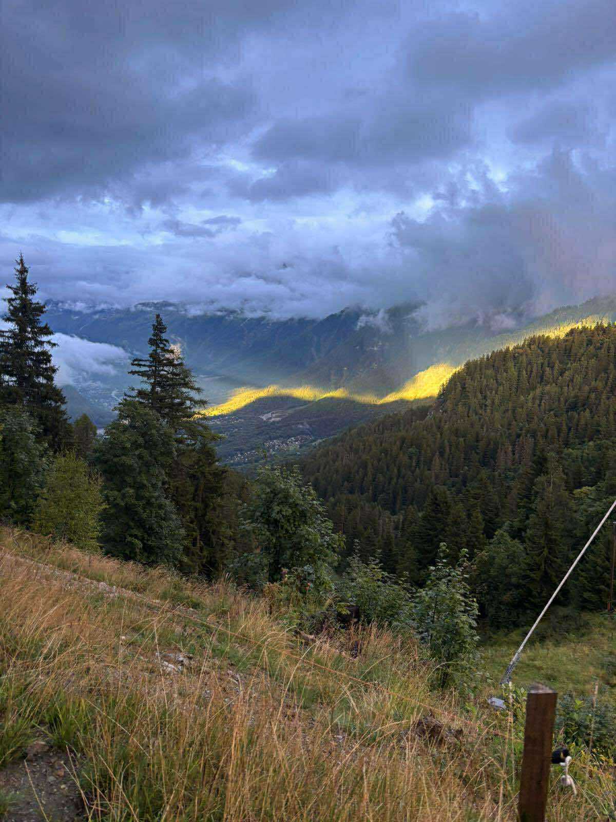 76dbf4d1-983d-4255-a128-2c006188c02b