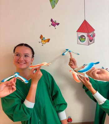 Oiseaux distracteurs