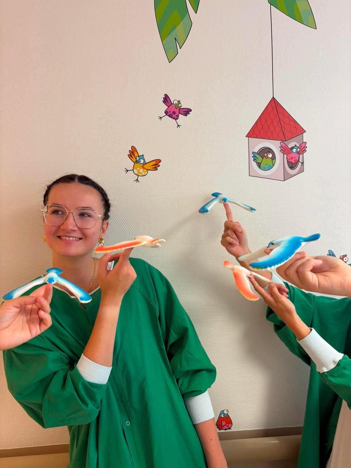 Oiseaux distracteurs