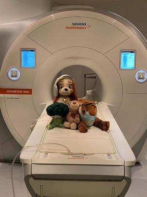 c69bd254-52b9-45ad-829c-789d6fb8cebf