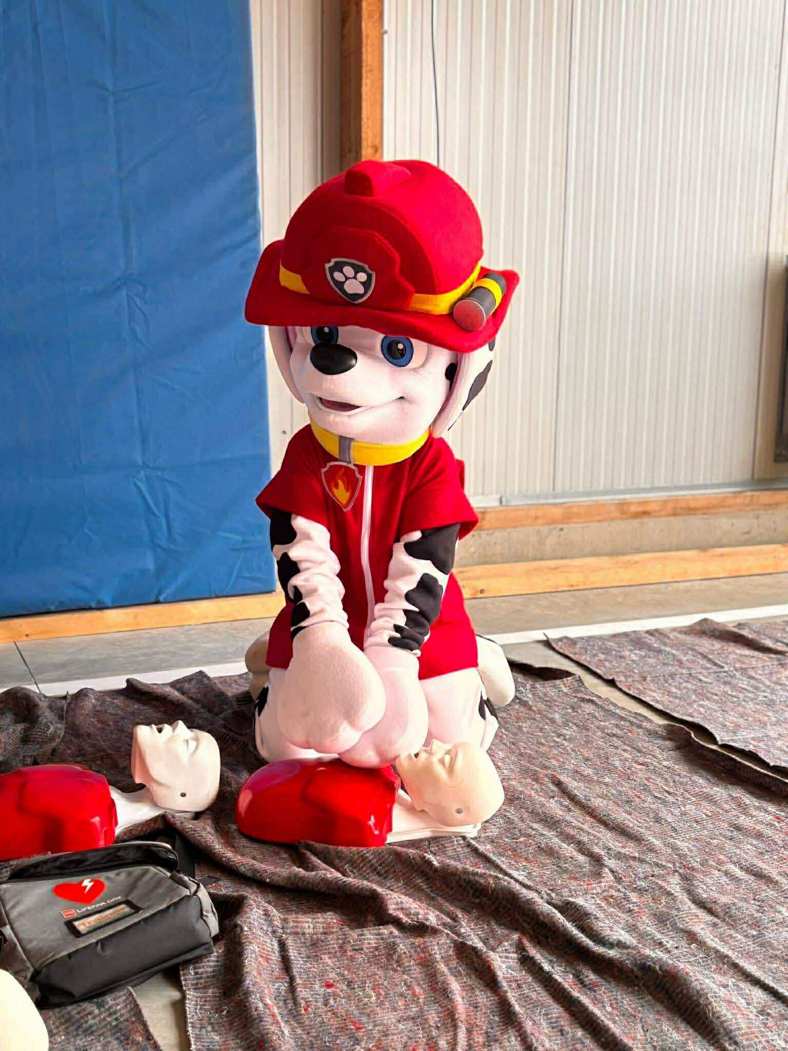 ce14842d-635d-4bf8-8cd9-3ebc19707895