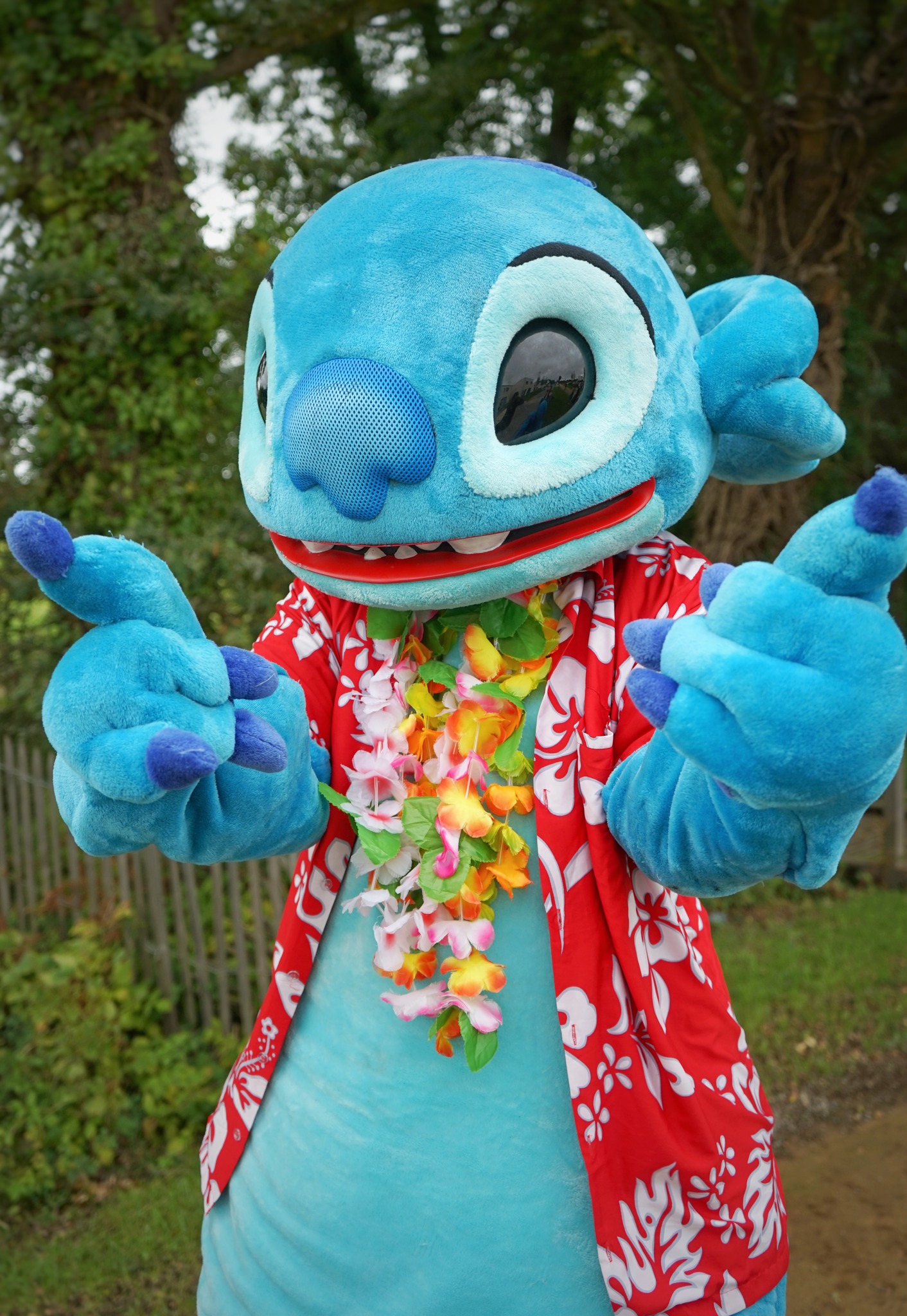 d49caeb8-6d09-40aa-96cf-71abd1afa665