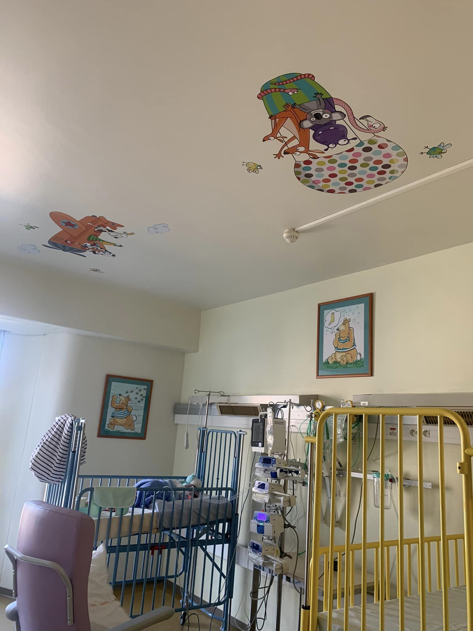 e2dcb46d-61d8-463b-8a0c-00d550d78951